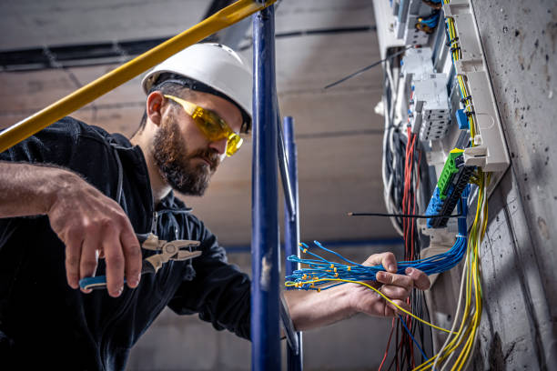 Best Ceiling Fan Installation Electrician  in Black River Falls, WI