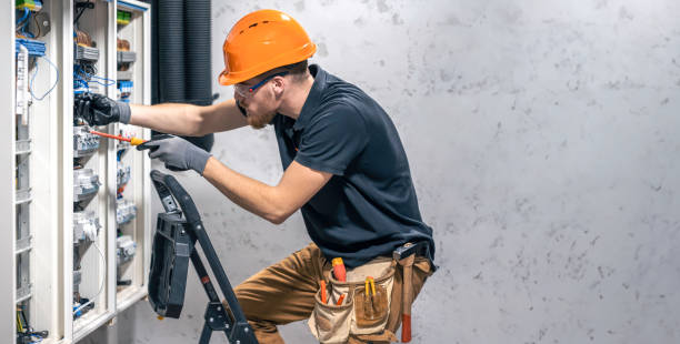 Best Electric Panel Repair  in Black River Falls, WI